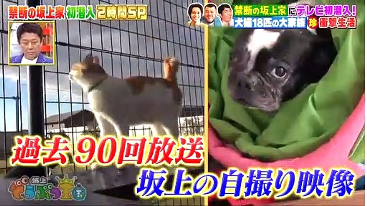 miomio 動画サイト - miomio 動画 - Miomio    坂上どうぶつ王国 動画　2021年3月26日