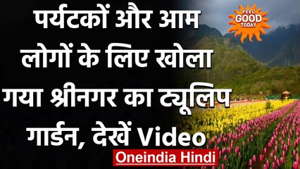 Srinagar में पर्यटकों के लिए खुला Tulip Garden, प्रकृति प्रेमियों को कर रहा आकर्षित । वनइंडिया हिंदी