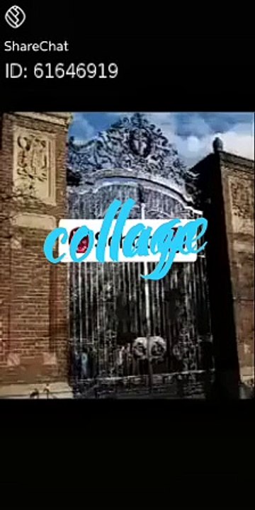 College principal 
