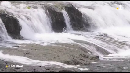 Le bassin de la cascade Puraha fait peau neuve
