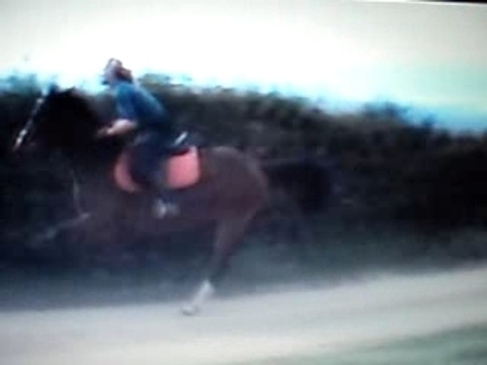 Mise en scène au galop, jument de course réformée