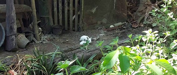 Play time ng mga babies❣