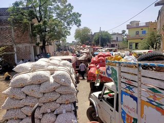 下载视频: 9 दिन मंडी बंद रहने से पहले लहसुन-प्याज की बंपर आवक, सड़कें हुई जाम