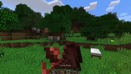 Minecraft Gameplay (Part 22)