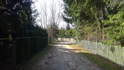 Okuninka jez. Białe 26.03.2021 4K