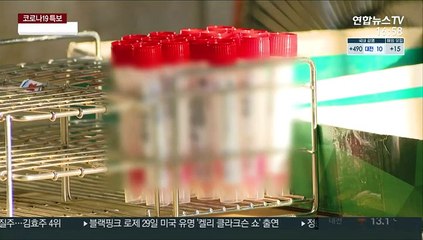 505명 확진…36일만에 500명대 재확산 조짐