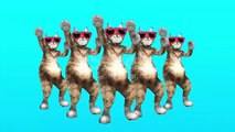 Comic Pussycat Moves in Blue Environment in Stylish Rhythm