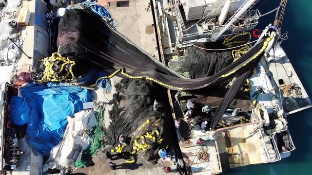 Marmara büyük baskı altında: Salya tehlikesi 2 aydır geçit vermiyor