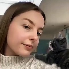 Sevimli kedinin sahibini sevdiği anlar