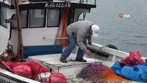 Giresunlu balıkçılar bu sezon balık av sezonundan istediği verimi alamadı