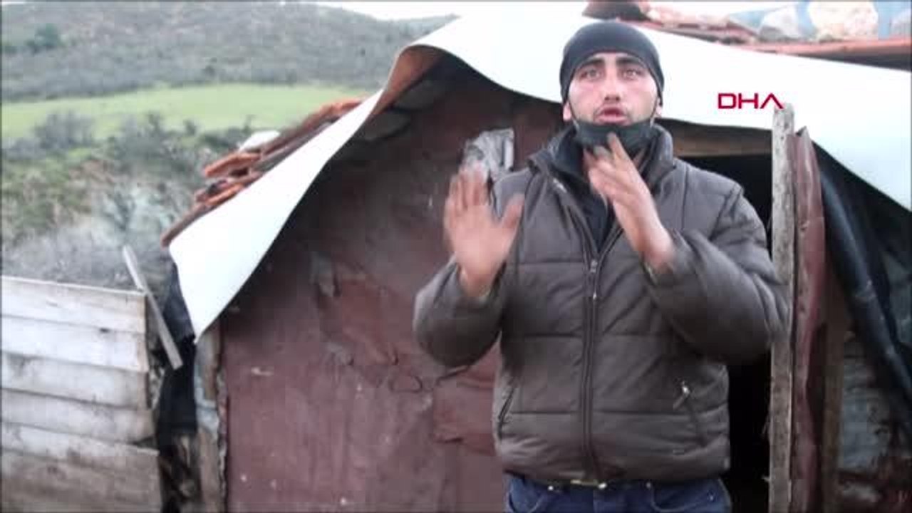BALIKESİR Ayvalık'ta 59 keçi telef oldu