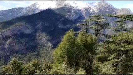 Karaman'da kaybolan genç kurtarıldı