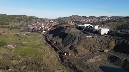 BALIKESİR - Ayvalık'ta 40 keçinin telef olduğu iddia edildi