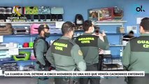 La Guardia Civil detiene a cinco miembros de una red que vendía cachorros enfermos