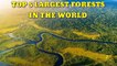 Top 5 Largest Forests in the World _ Biggest Forests on Earth