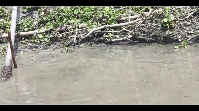 Best Village Fishing Pond With Amazing Chating Fishing Pond Amazing Hand Fishing Pond