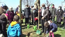 Üsküdar’da Kız Kulesinde  katledilen ağaçların yerine yenileri dikildi