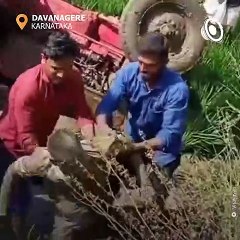 Driver Rescued By Locals After Tractor Accident In Davanagere