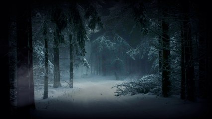 Relax with Nature-Soothing/Relaxing/Meditation/Yoga/Study