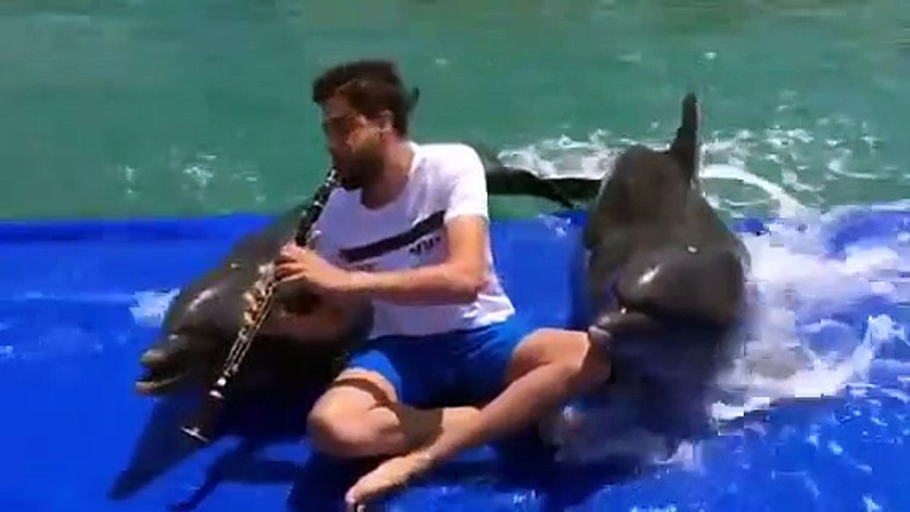 Il joue de la clarinette, les dauphins chantent