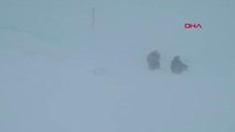 Son dakika haber! KARS Kardan yolu kapalı köydeki hastayı, sırtlarında ambulansa taşıdılar