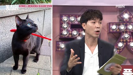 MC 박수홍의 눈물… "입양한 길고양이 한 마리가 내 인생을 구했다"