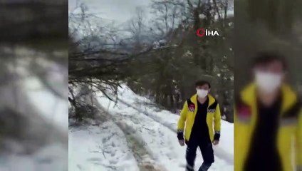 Vakaya giden 112 ekibinin yola devrilen ağaçla mücadelesi