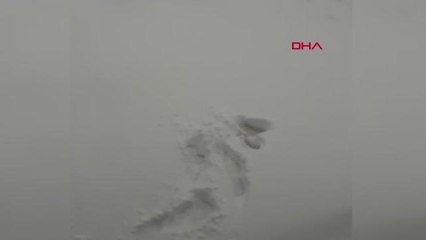 KARS Kars'ta donmak üzere olan bisikletli özel idare ekipleri tarafından kurtarıldı