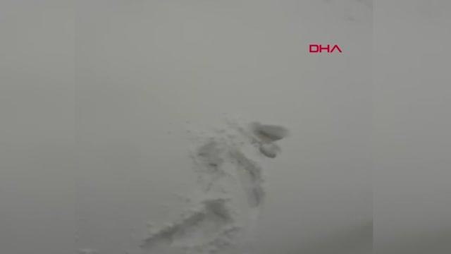 KARS Kars'ta donmak üzere olan bisikletli özel idare ekipleri tarafından kurtarıldı