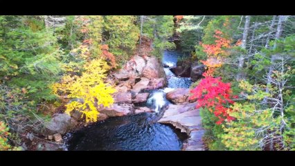 Zentao Relaxing Music Volume 1 - Lazy Autumn - Dino Olivieri