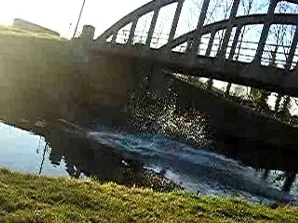 P2231682