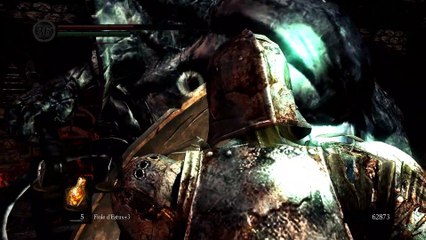 Dark Souls: Soldat Carcasse [21] La faiblesse du Foyer du Chaos