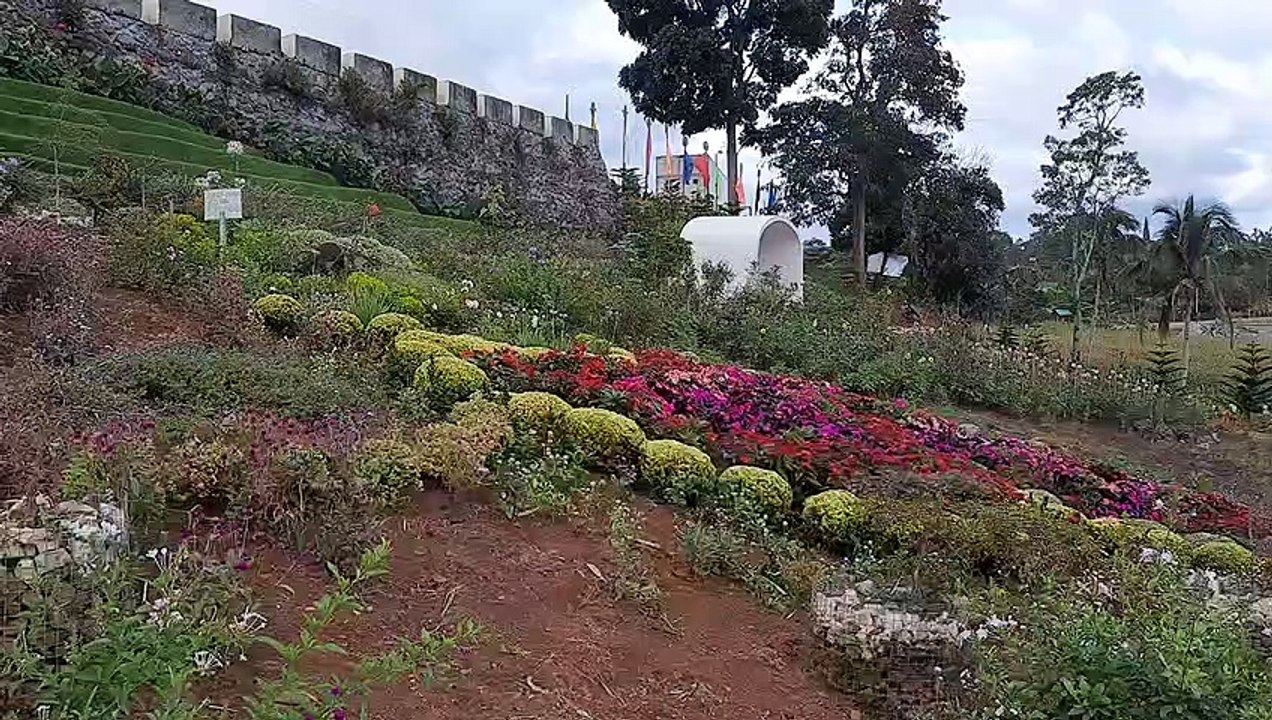 view deck