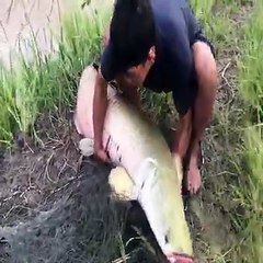 Fisherman Skills
