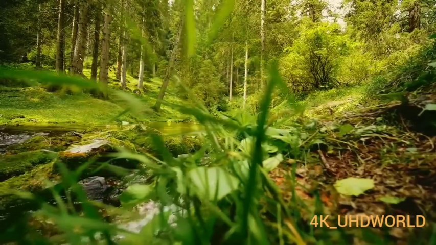 4K video/4k Beautiful natural scenery of river 4K_UHD