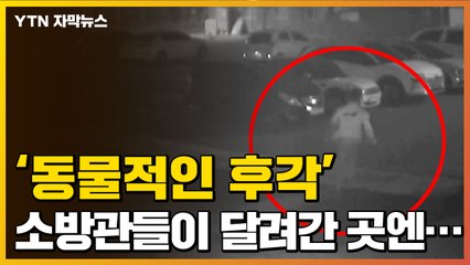 [자막뉴스] '동물적인 후각'으로 사람 살린 소방관들 / YTN