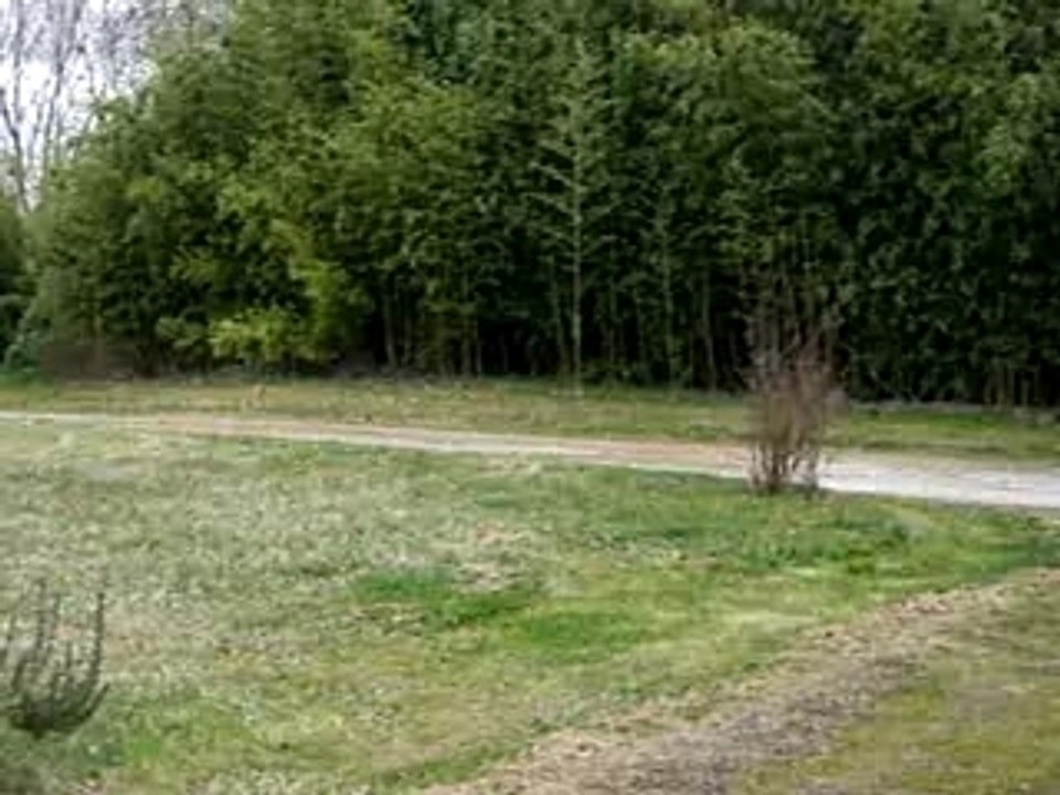 location bernard rdc