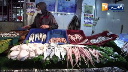 صيد بحري: تداخل الصلاحيات بين القطاعات..عائق أمام تطوير شعبة تربية المائيات