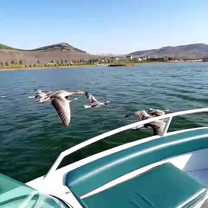 the season when the birds migrate to the distance