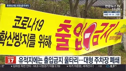 "차에서 즐기세요"…벚꽃 만개하자 상춘객들로 북적