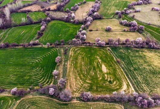 Tunceli'nin bir yanı bahar bir yanı kış