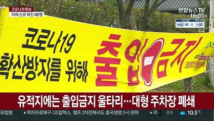 "차에서 즐기세요"…벚꽃 만개하자 상춘객들로 북적