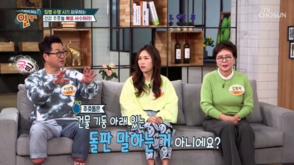 충격 고관절 골절 때문에 사망까지?!☠TV CHOSUN 20210328 방송