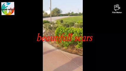 JOGGING IN DOHA QATAR WITH SONG COVER