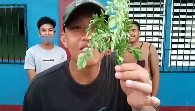 rebat ni boss Kolokoy