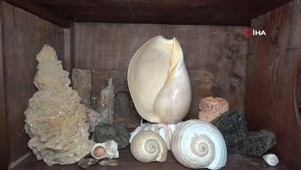 Deniz olamayan şehir Mardin'de, deniz canlılarının binlerce yıllık fosilleri sergileniyor