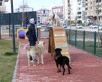 Gaziantep'te, hayvanlara özel 'park'