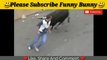 Best funny videos 2020 Most awesome bullfighting festival funny crazy bull fails