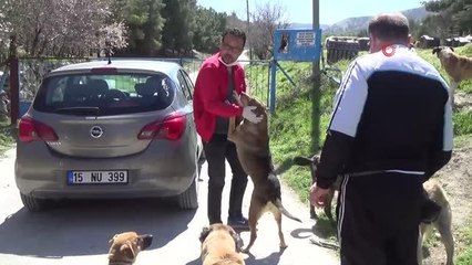 Hayvanseverler sokak hayvanlarını unutmadı