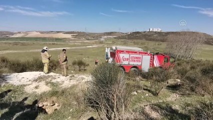 Başakşehir'de kuyuya düşen inek kurtarıldı